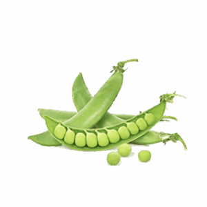 Organic Peas